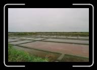 15-002_3 * Salzfelder in der Nahe von Gurande, Loire-Atlantique/Pays de la Loire * 2088 x 1392 * (1.76MB)