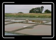 15-004_5 * Salzfelder in der Nahe von Gurande, Loire-Atlantique/Pays de la Loire * 2088 x 1392 * (1.94MB)