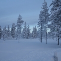  MG 9235 : Saariselkä
