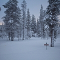 Der Winterwanderweg Richtung Laanila : Saariselkä