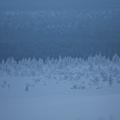  MG 9600 : Saariselkä