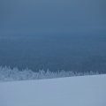  MG 9603 : Saariselkä